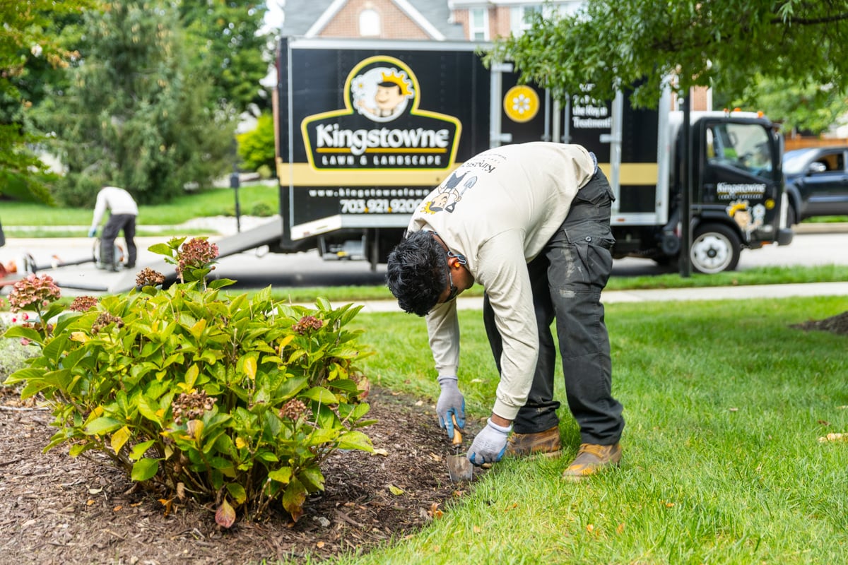 maintenance crew shrub pruning trimming cleanup fall groundcover planting bed 9