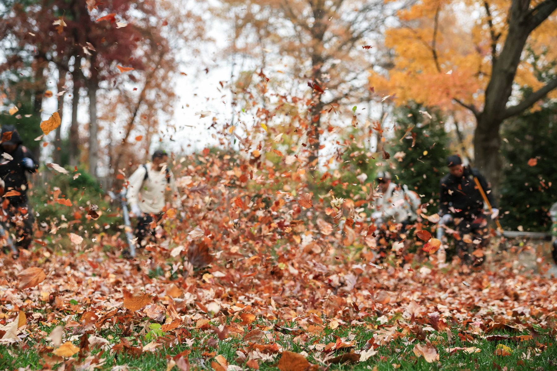 maintenance team fall cleanup leaf blowers lawn 10