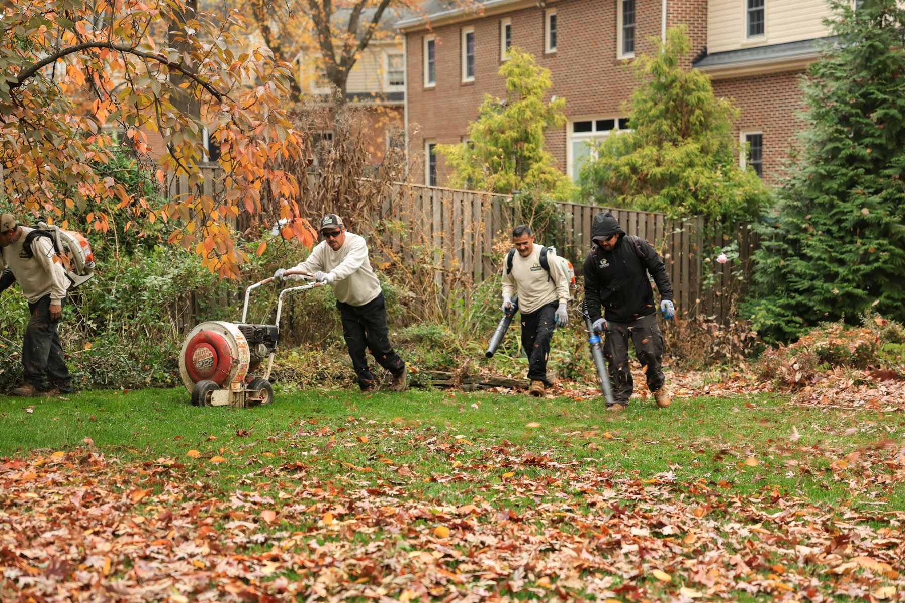 maintenance team fall cleanup leaf blowers lawn