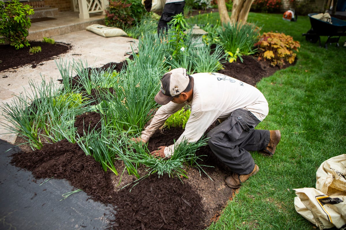 landscape maintenance team installs mulch in bed