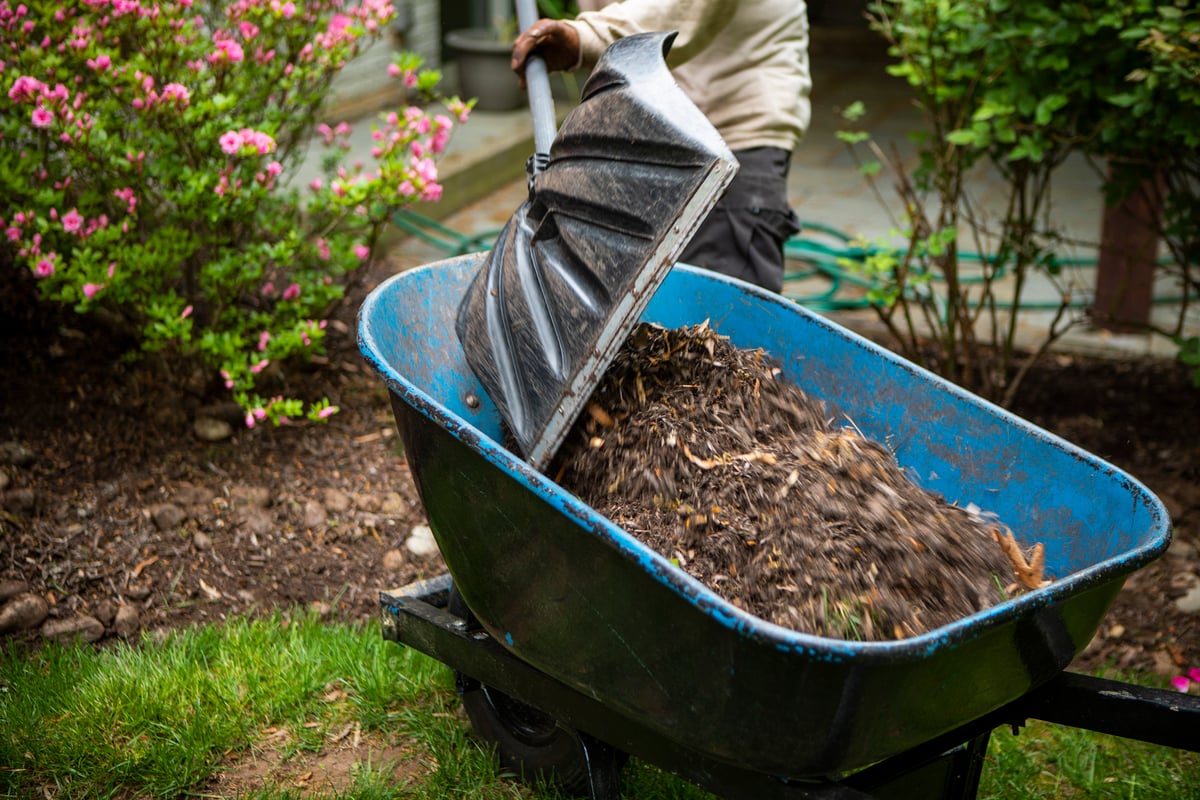 wheelbarrow full of mulch near landscape bed