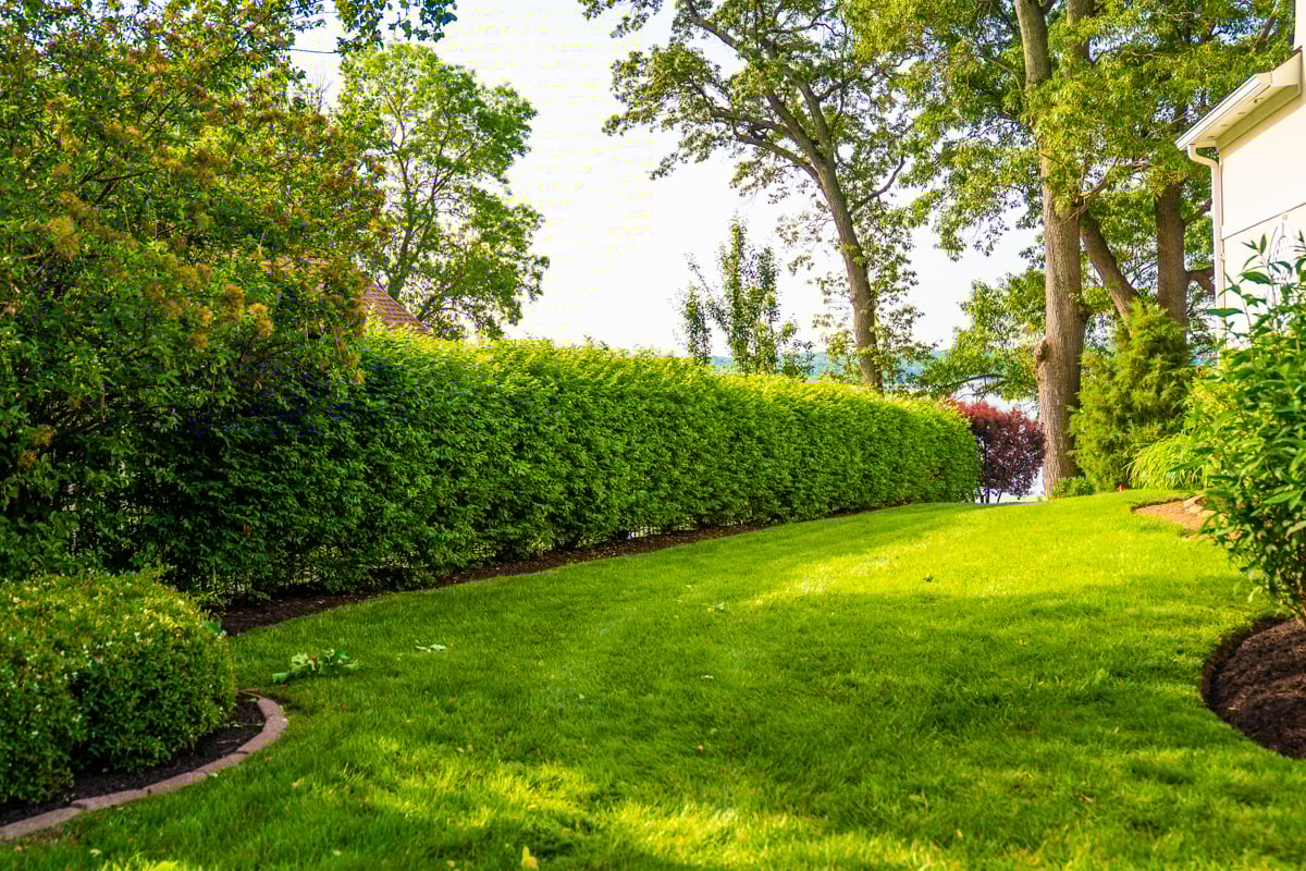 nice backyard lawn framed by planting beds in a virginia landscape