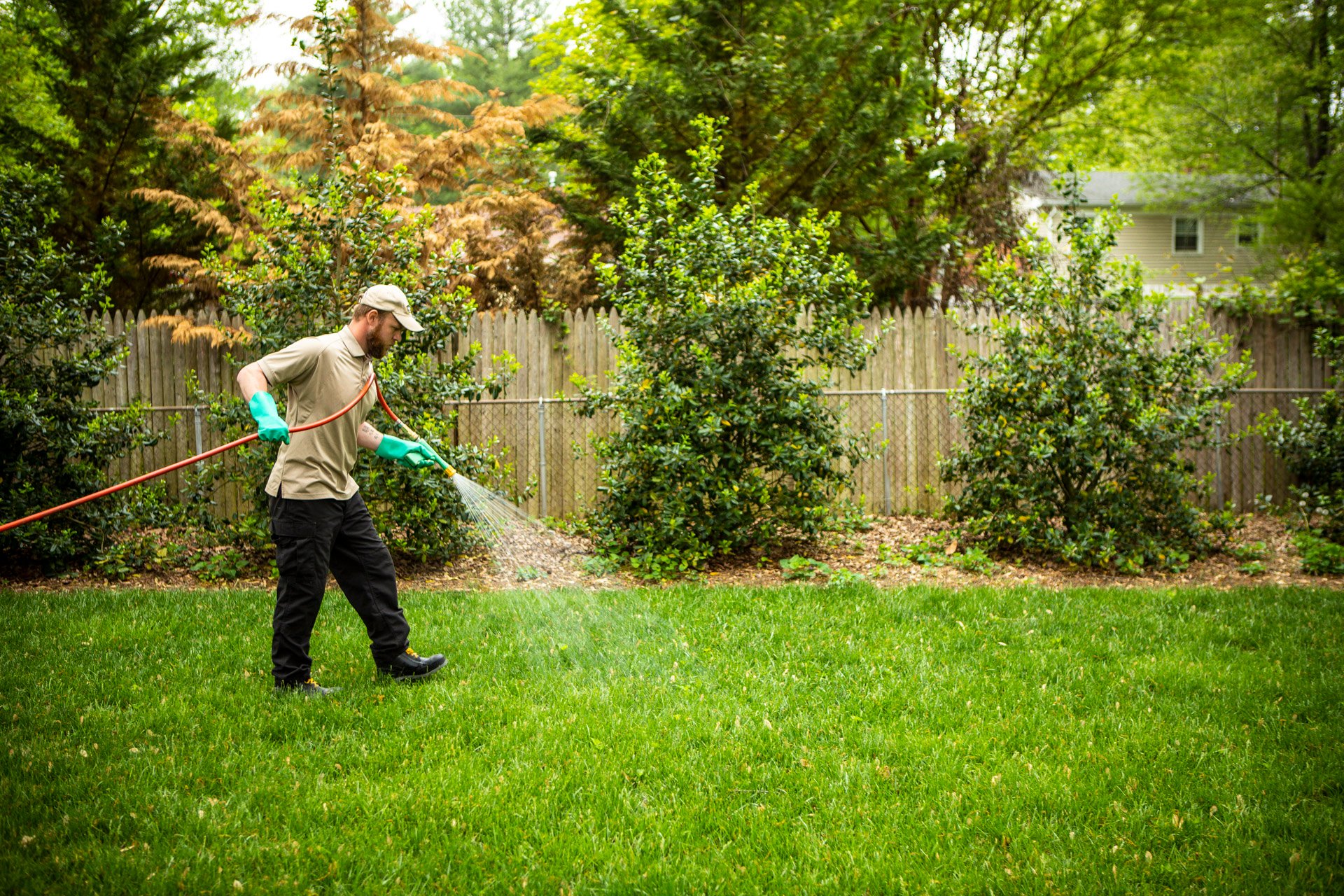 spraying-lawn-grass-fence