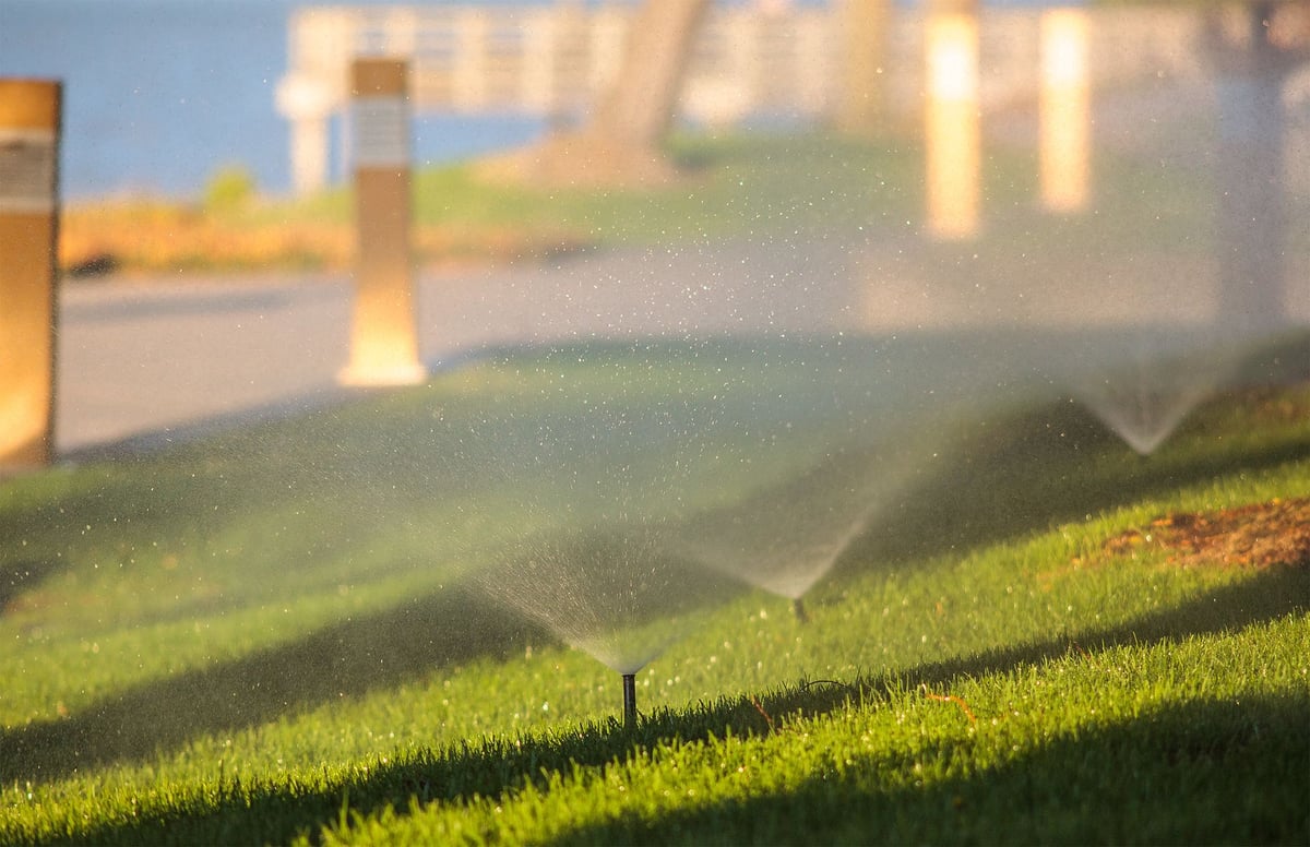 sprinkler waters grass