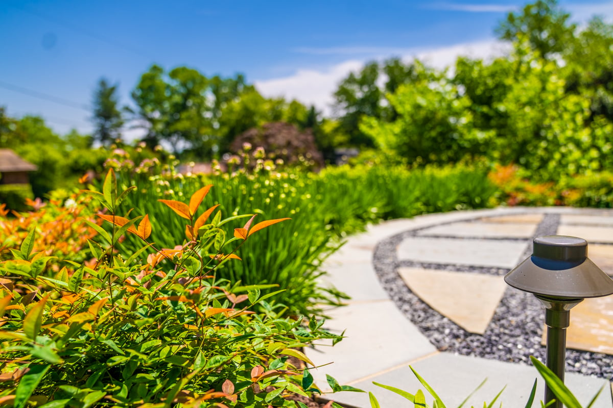 stone patio with landscape lighting and plantings