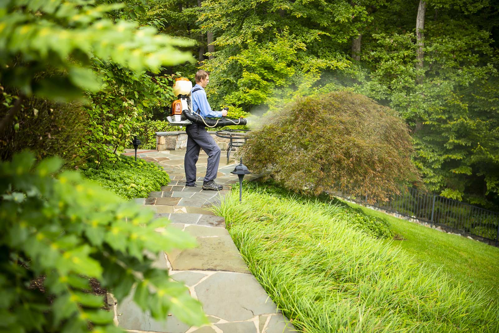 pest control technician spraying a landscape with mosquito barrier spray