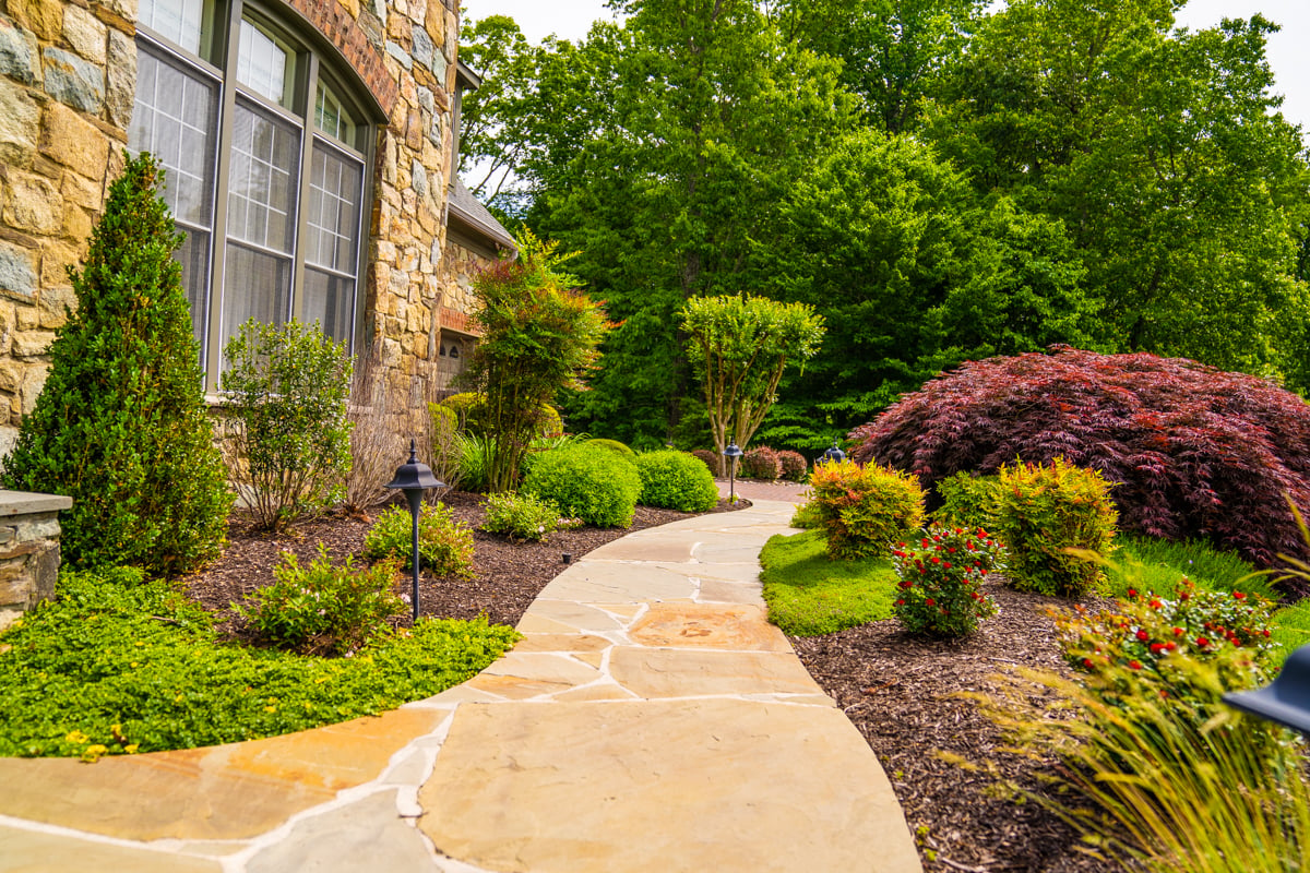 walkway with plantings in landscape beds