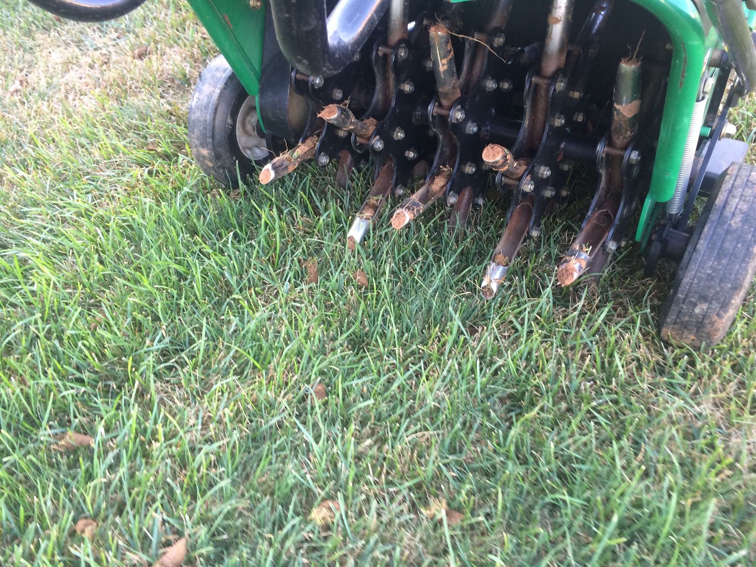 Core aeration on a lawn in Virginia