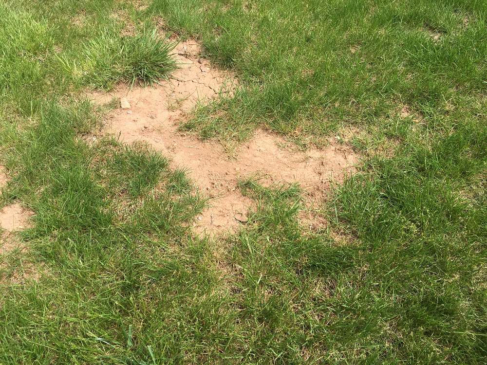 bare spot in lawn with bad soil