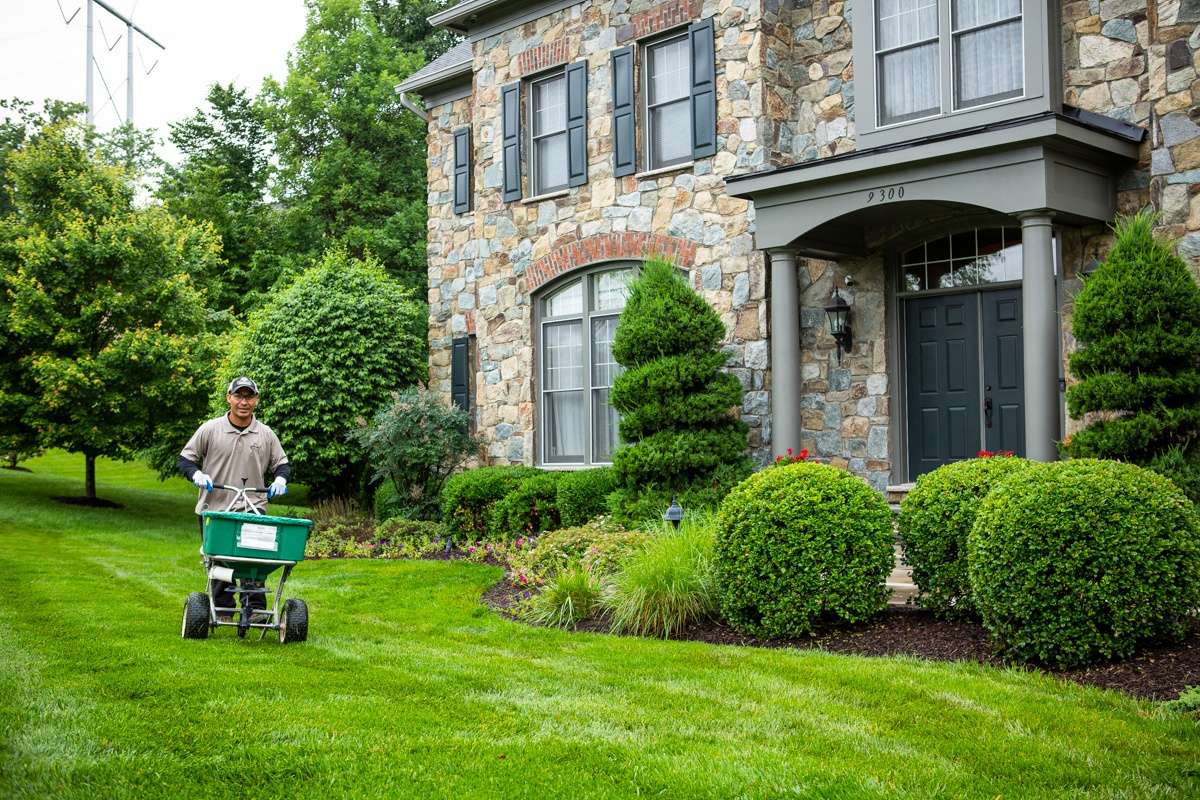 lawn fertilizer treatment