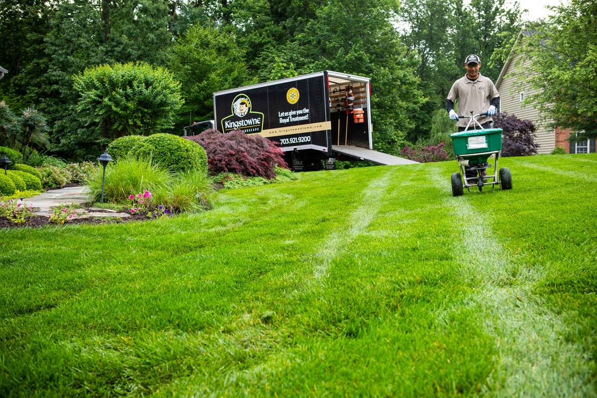 fall lawn fertilizer application