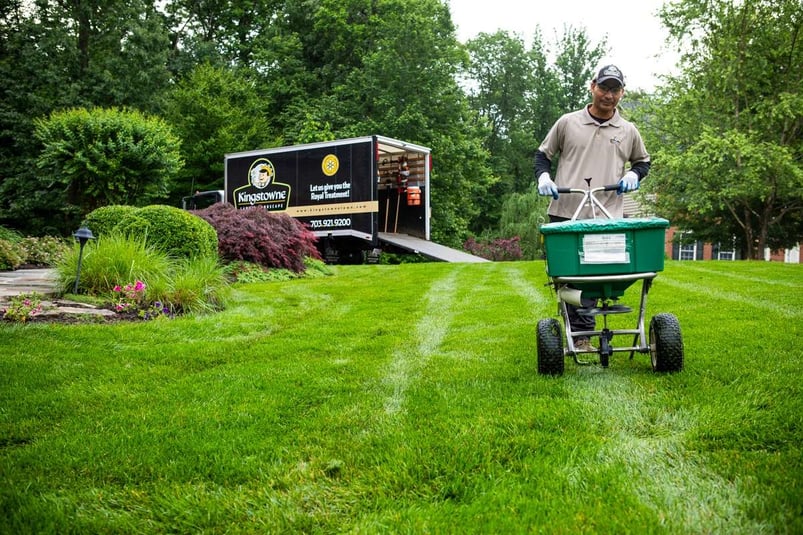 Fertilizer On Lawn