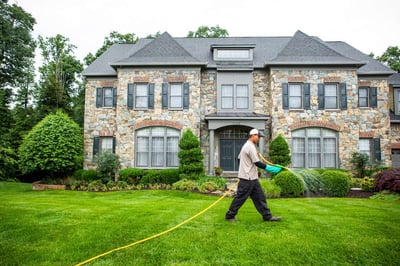 lawn care treatment on northern Virginia lawn