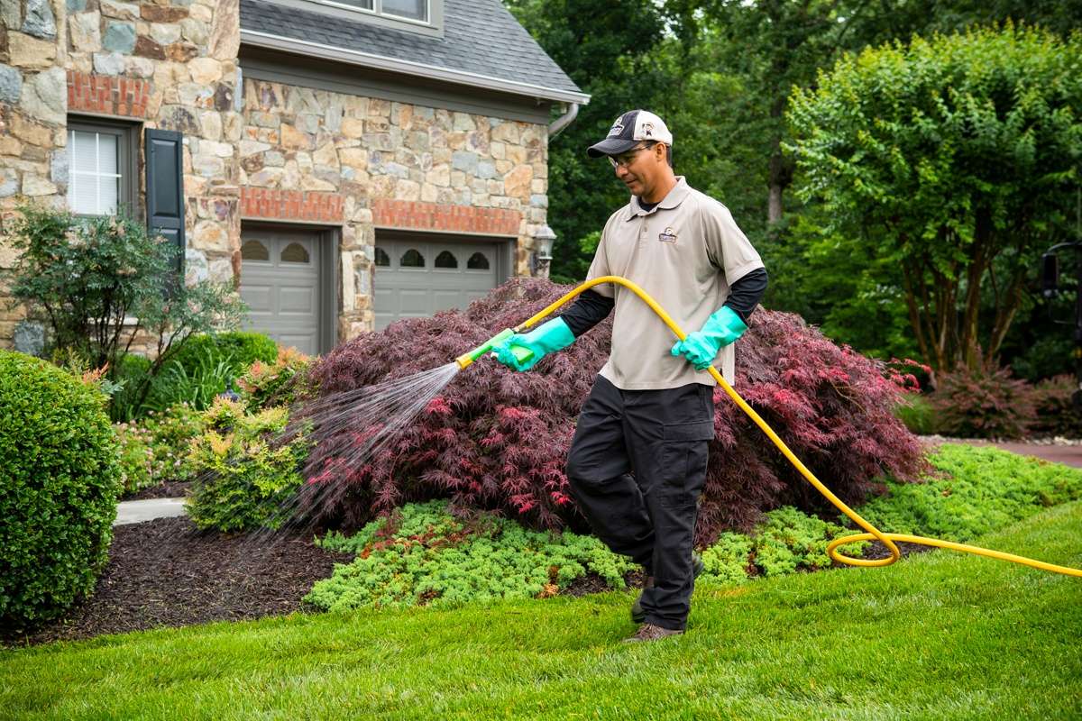 landscape maintenance technician sprays for weeds