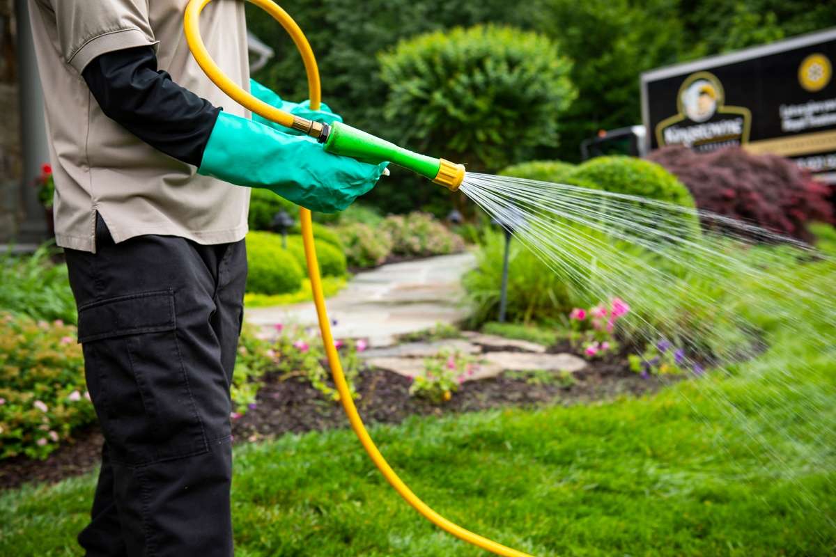 Lawn Care Utah County