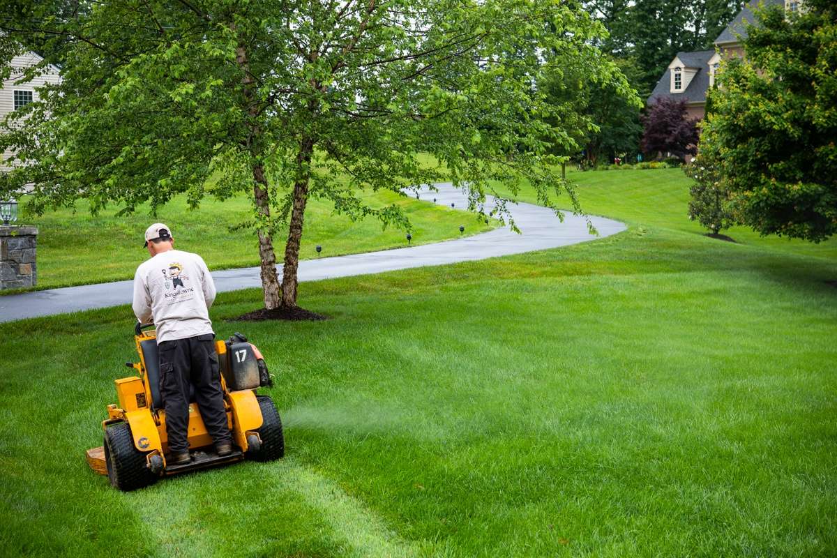 lawn mowing professional mowing nice lawn in Alexandria, Virginia