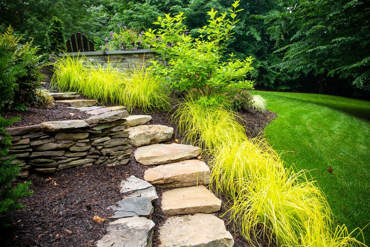 landscape steps surrounded by plantings