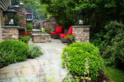 walkway and patio with low maintenance trees and shrubs