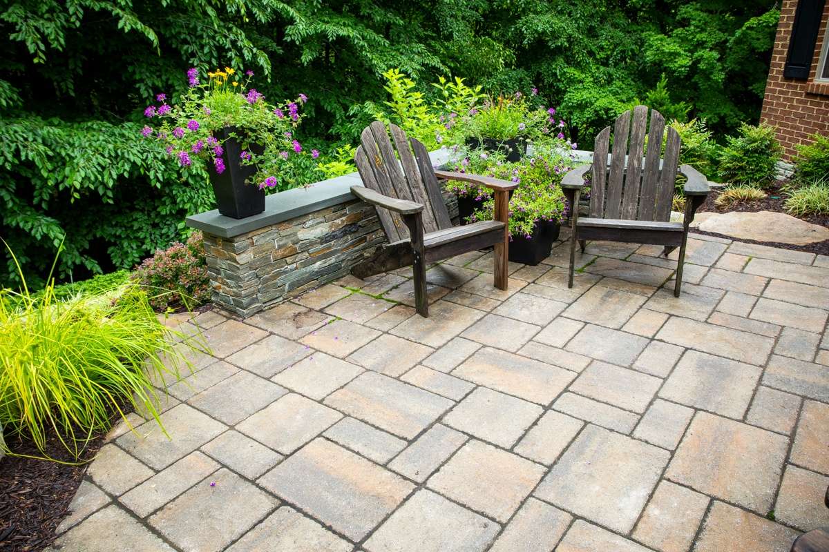 patio surrounded by plants