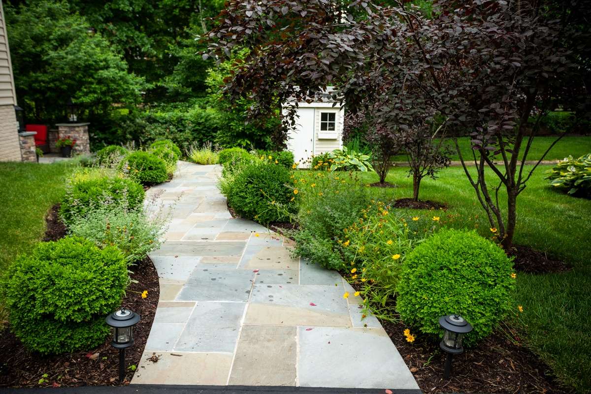 walkway with shrubs and colorful trees