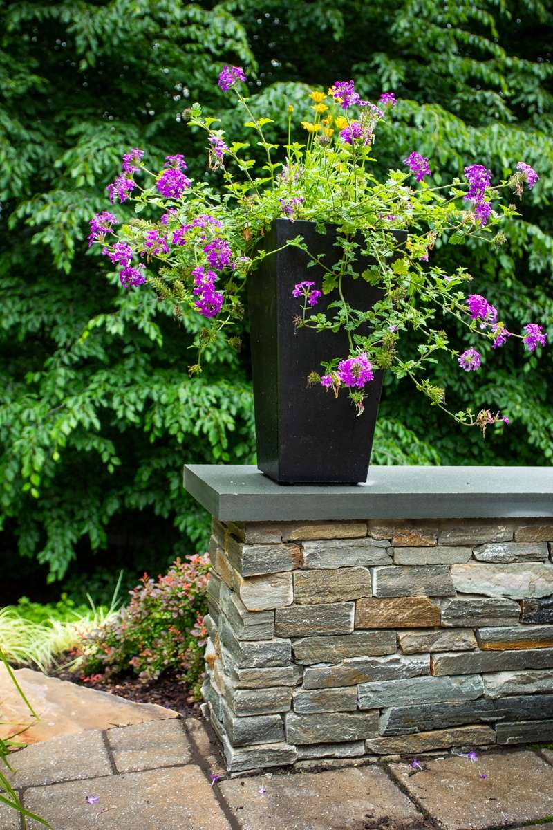 planter on patio wall