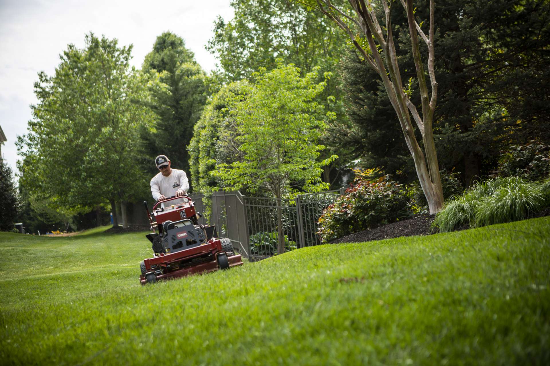 lawn being mowed correctly