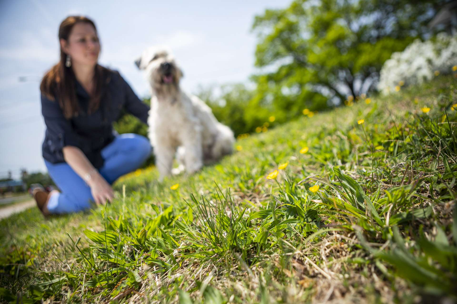 woman sitting in grass with dog