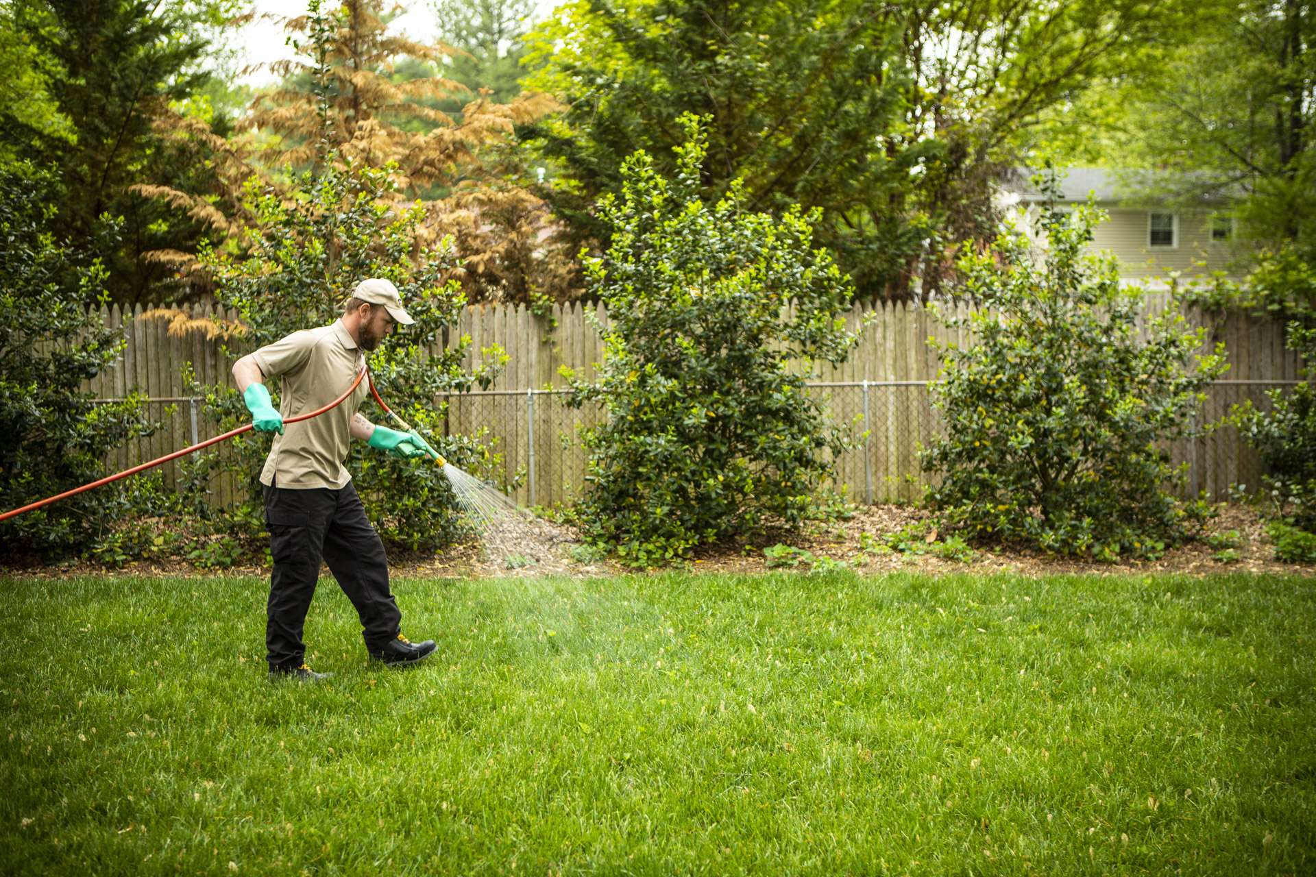 lawn care technician applying pre-emergent in fall