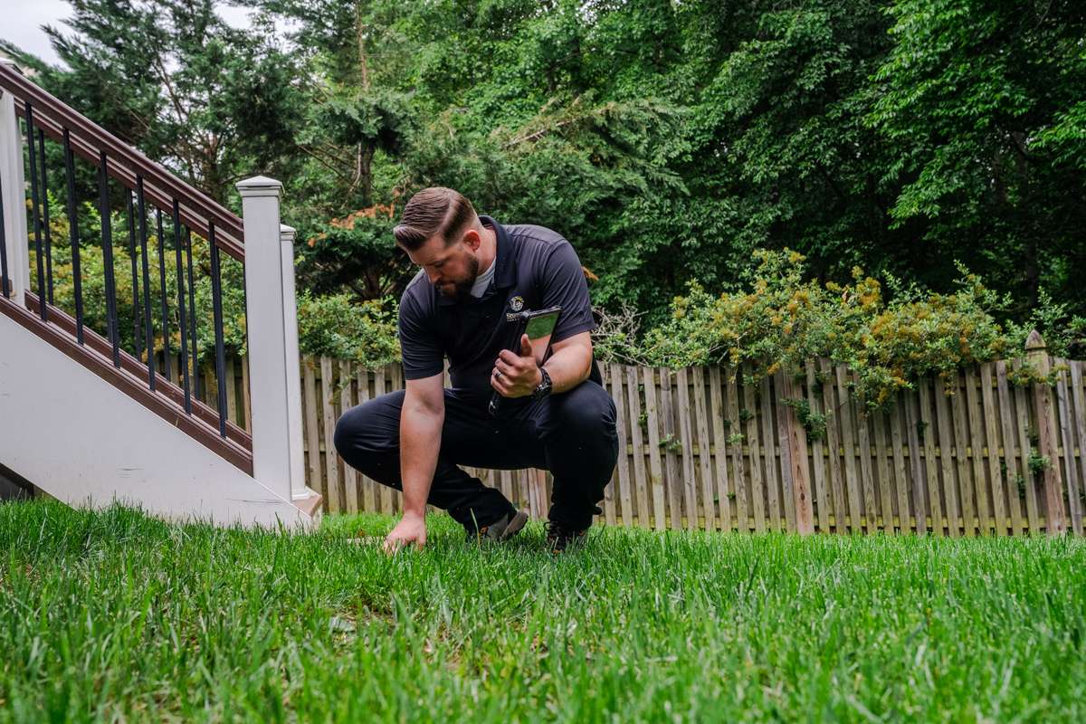 lawn care expert inspects turf