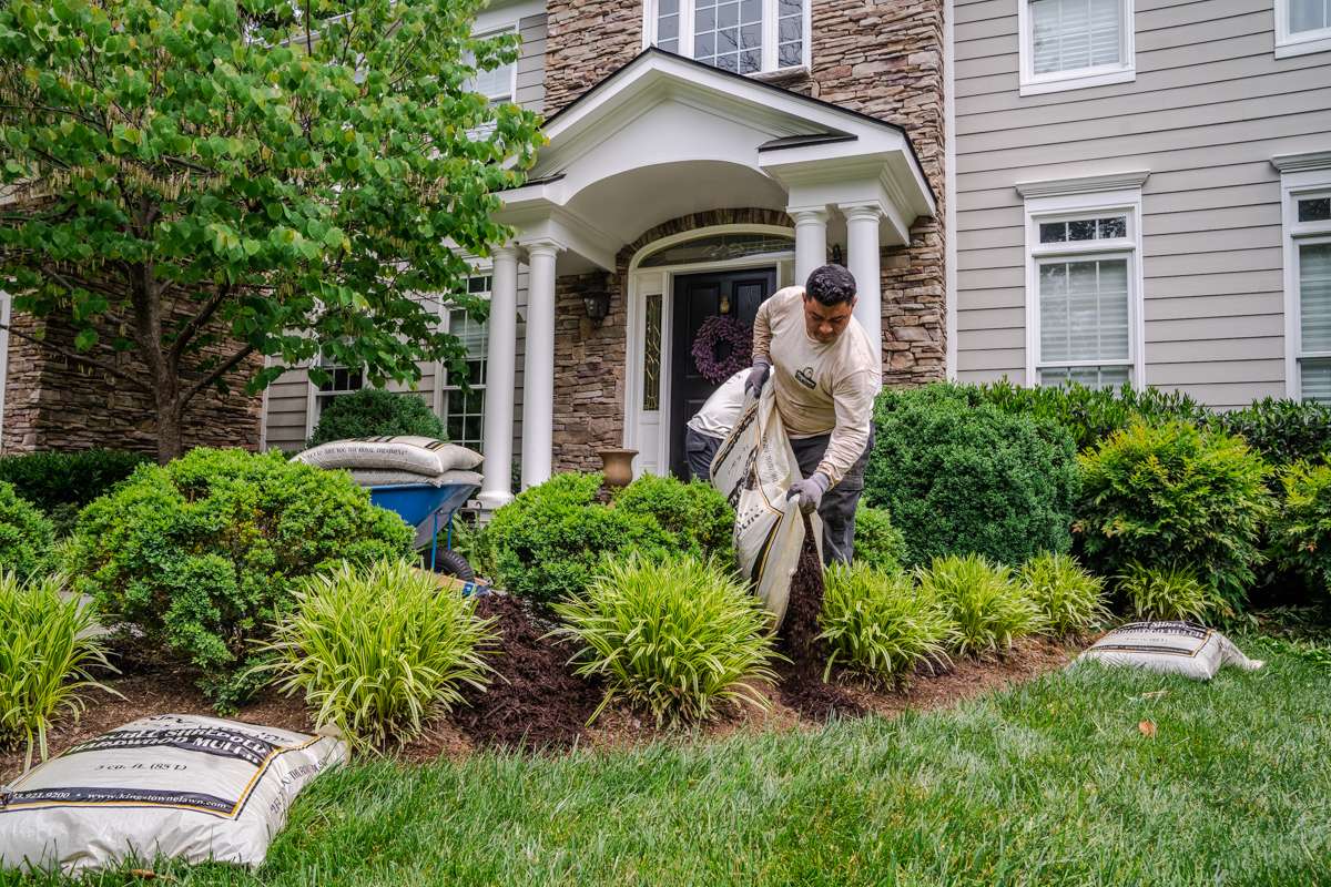 Landscaper maintaining plants