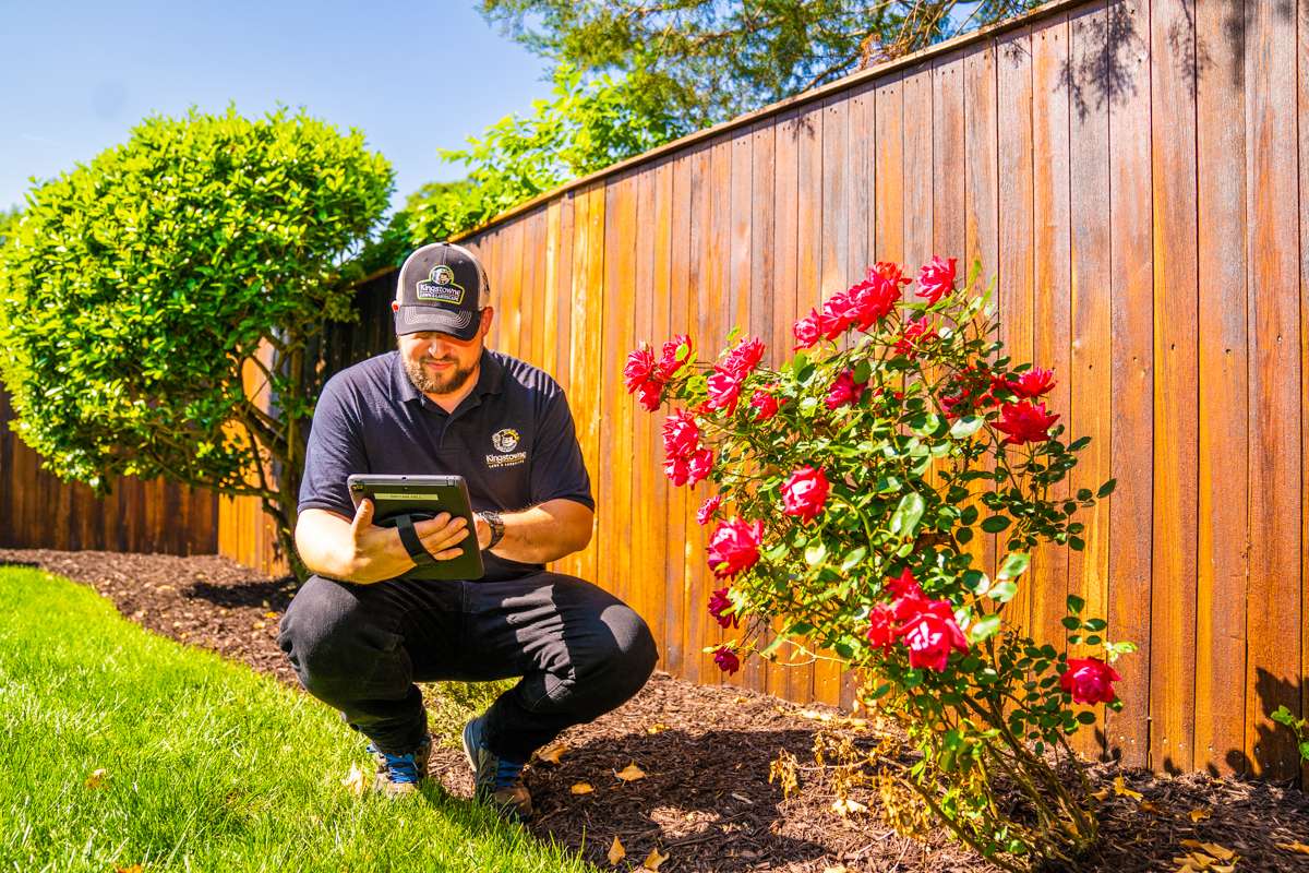 landscape account manager inspecting a property in northern virginia