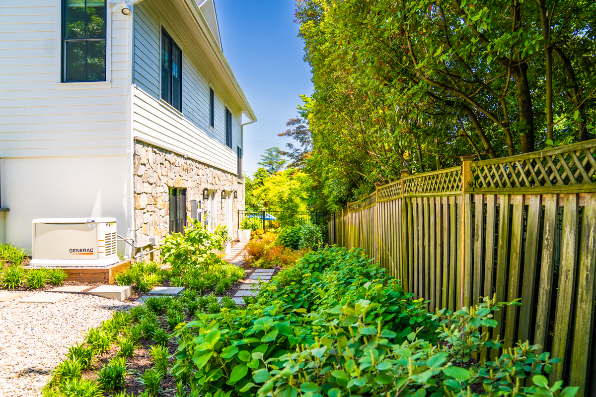 landscape plants along a fence in a small backyard