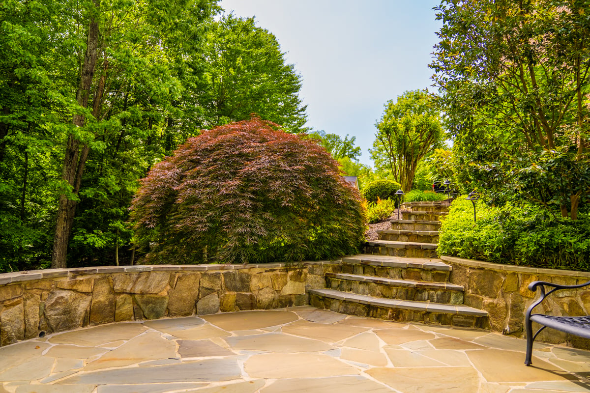 flagstone patio with stone steps and trees