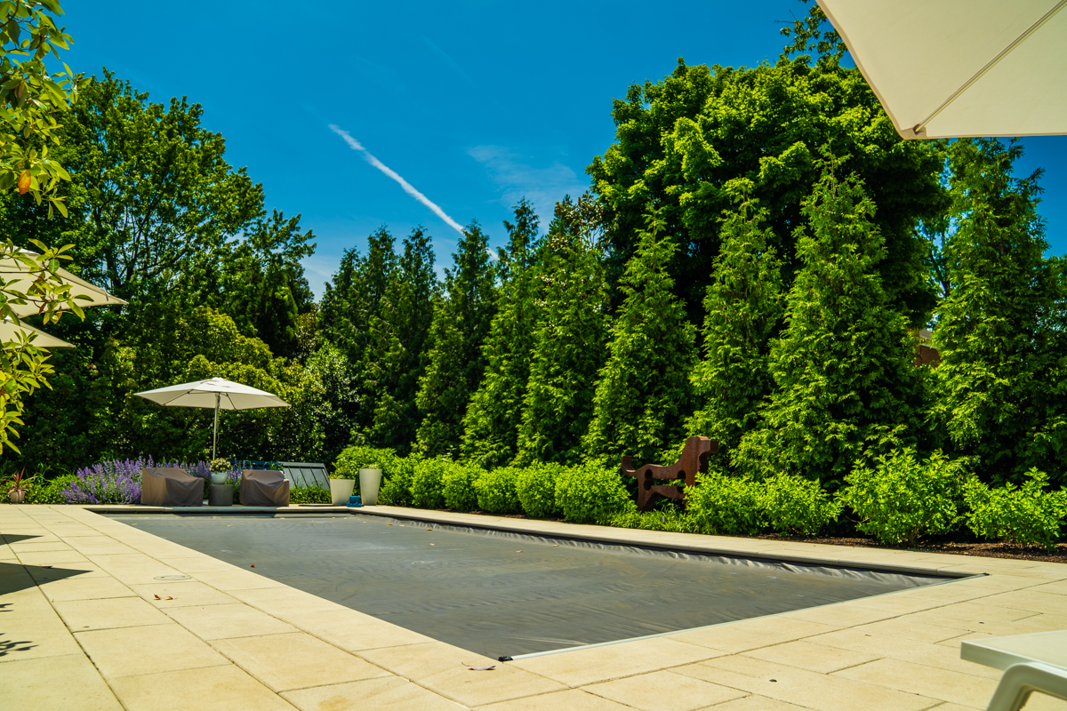 privacy evergreens screening a northern virginia backyard pool