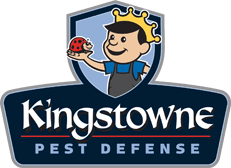 Kingstowne-Pest