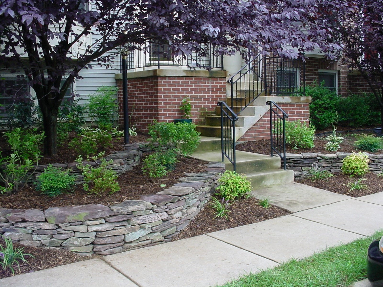 Creative townhouse landscape with trees, shrubs, and natural stone