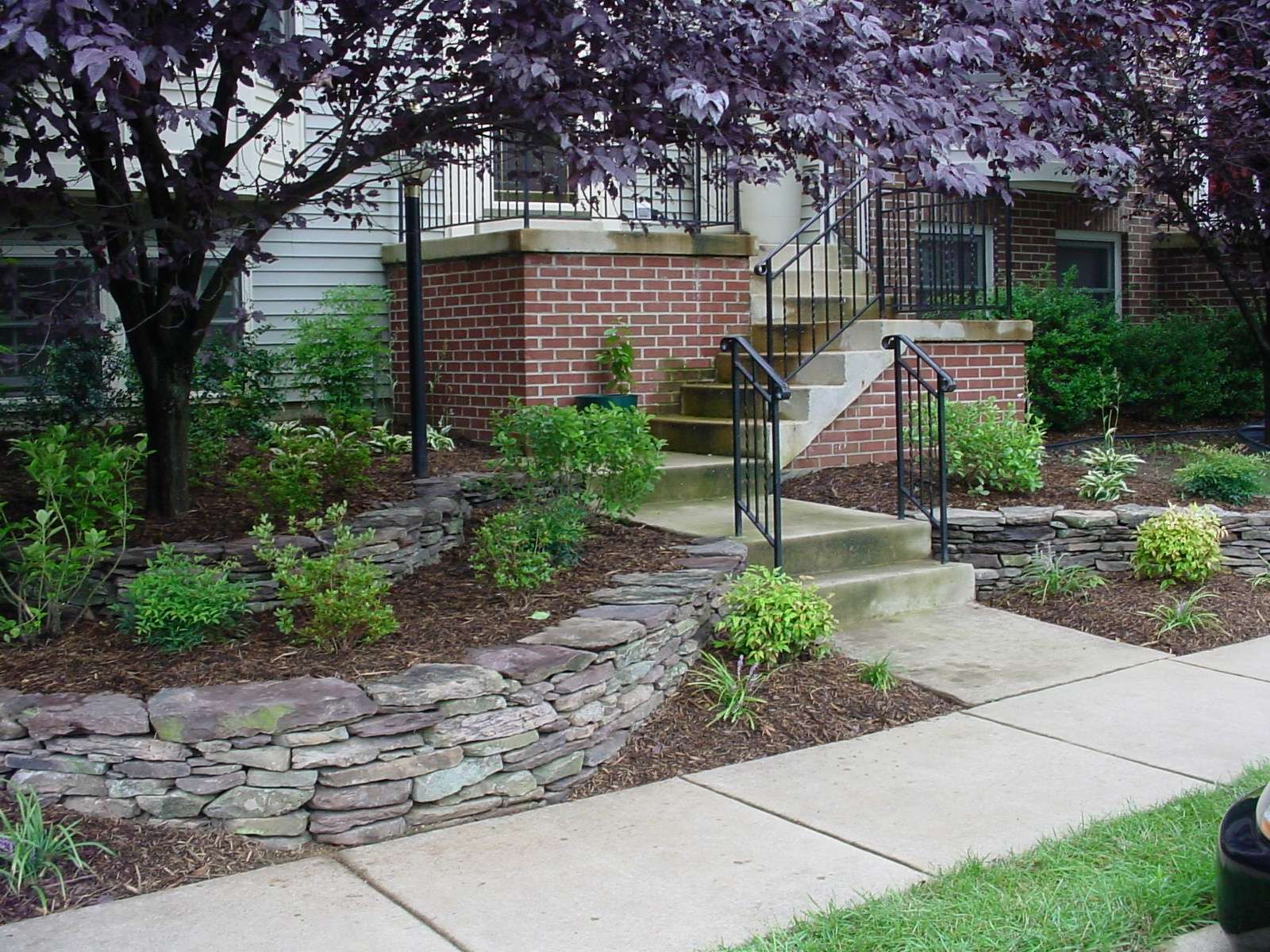 5 Of The Best Townhouse Landscaping Ideas (And Pictures) For Alexandria And  Arlington, Va