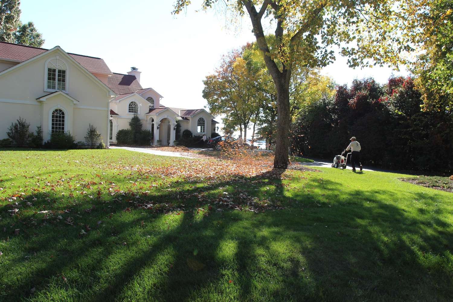 Leaf cleanup and lawn maintenance services