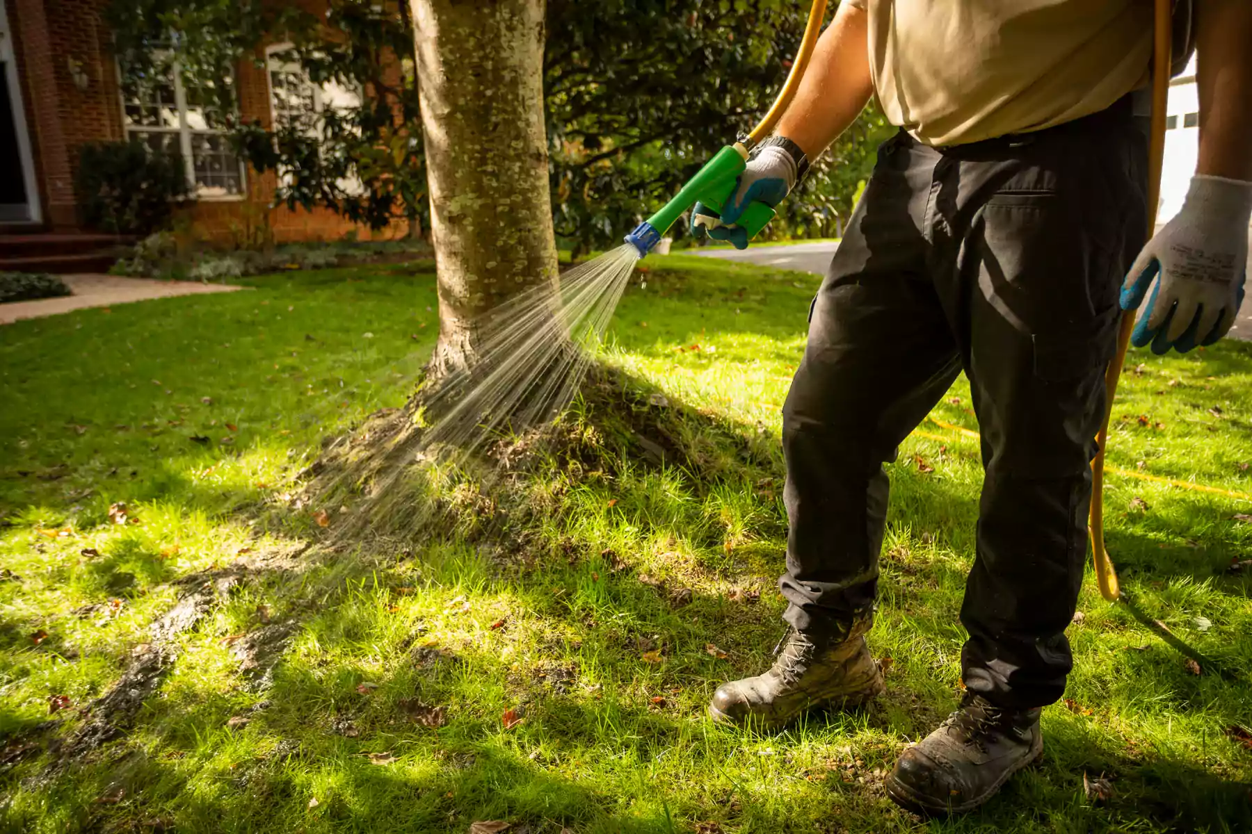 lawn care team uses hand-held spray to treat lawn