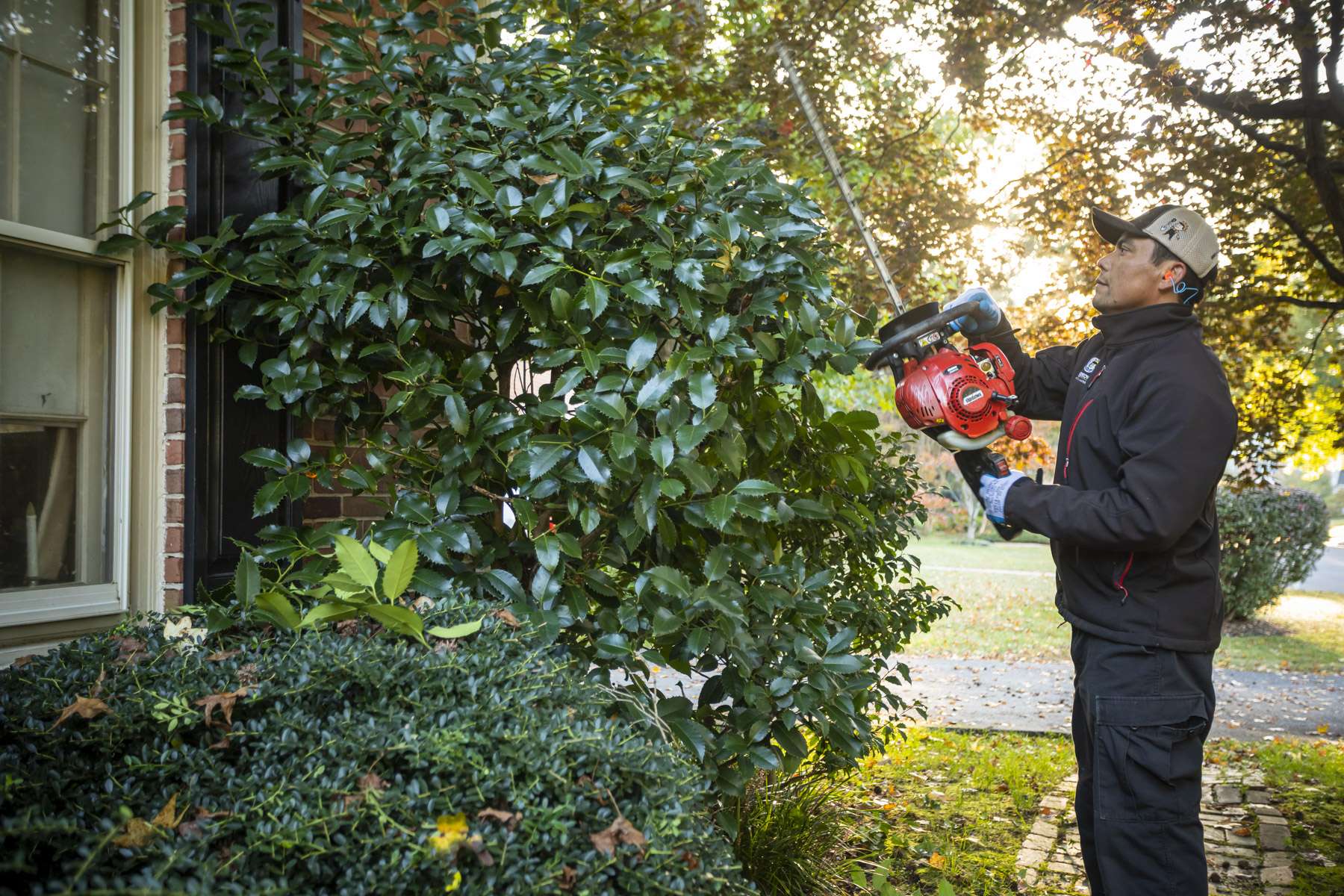 landscape maintenance technician pruning shrub