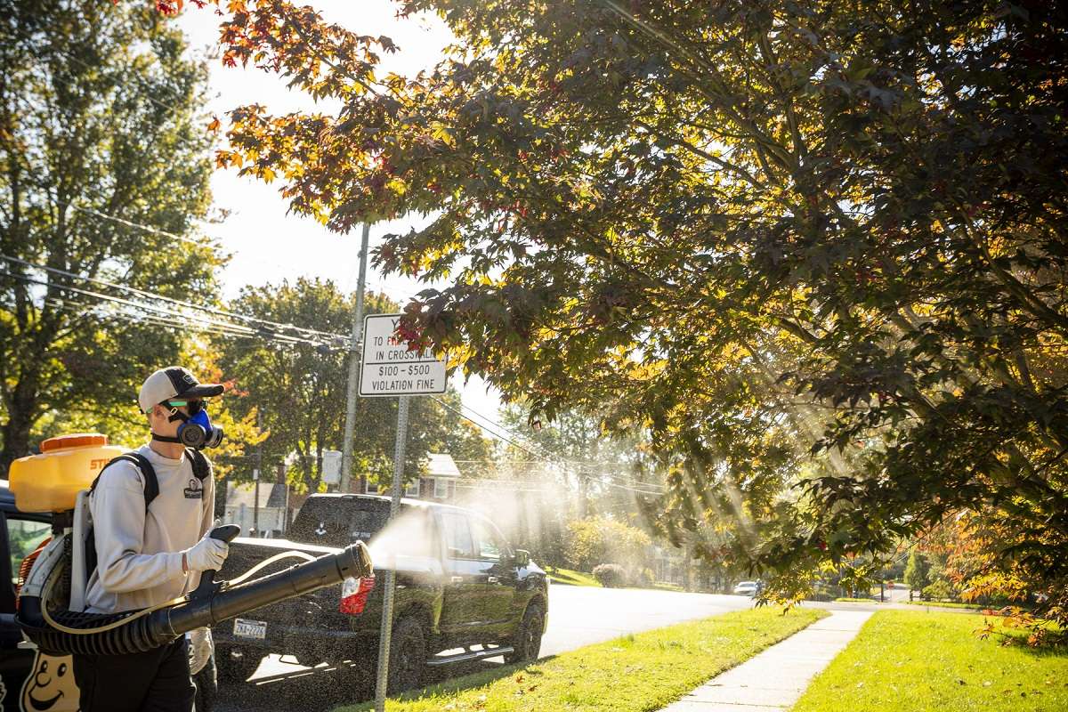 Pest control technician spraying mosquito control