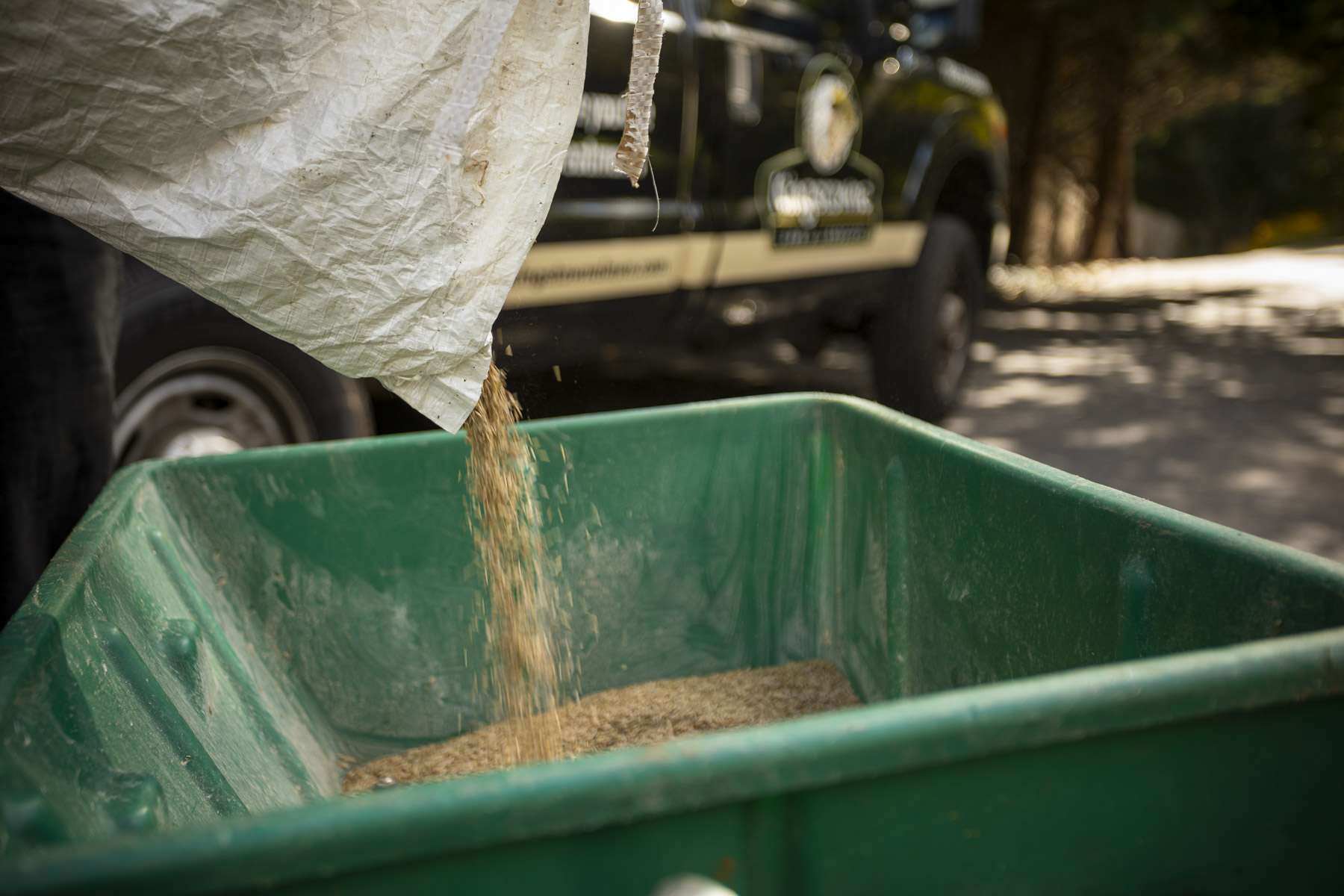 landscaper filling a spreader with grass seed before overseeding a northern viriginia lawn