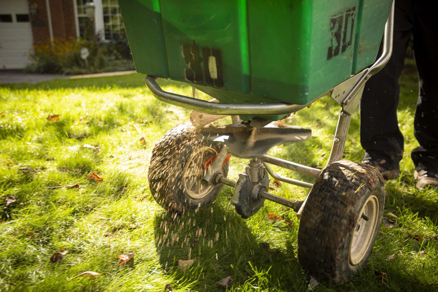 lawn seeding services with walk behind spreader