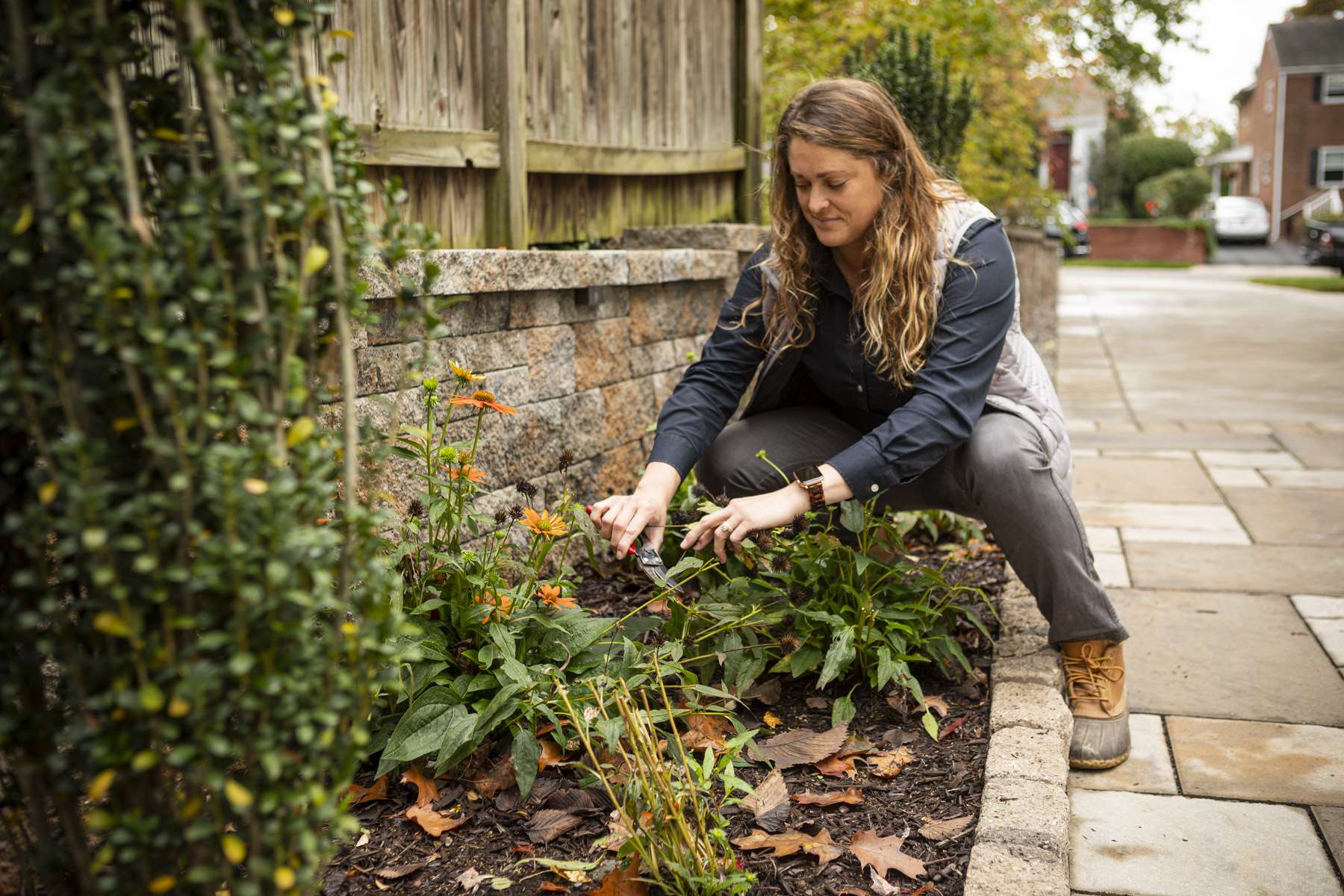 landscape professional prunes perennials in landscape beds