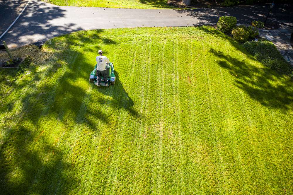 Kingstowne team lawn aeration 6