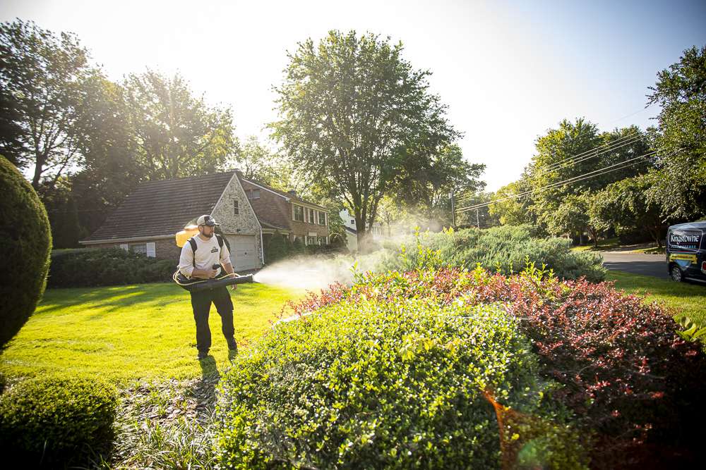 pest control technician sprays for mosquitoes
