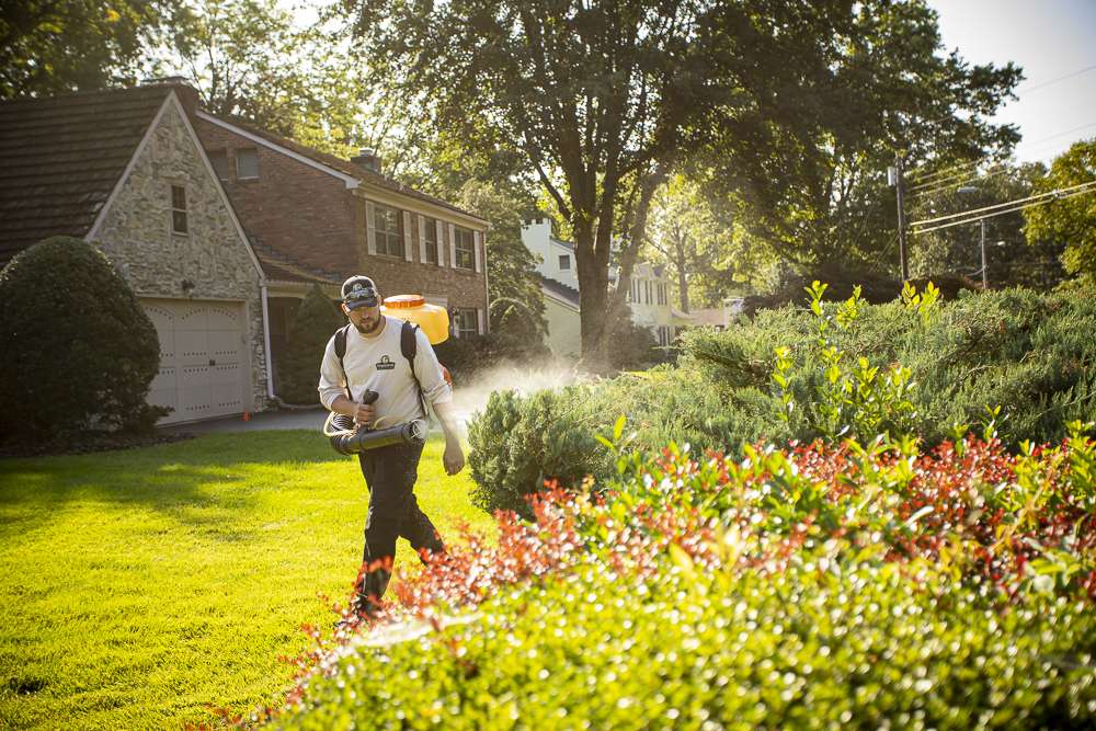 pest control technician sprays landscape for ticks