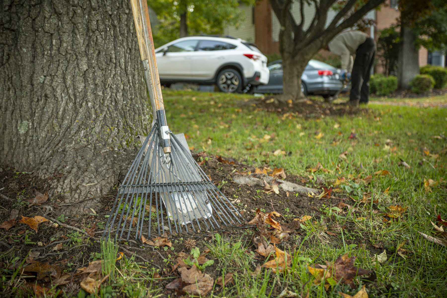 Kingstowne lawn maintenance tools rake and shovel leaves