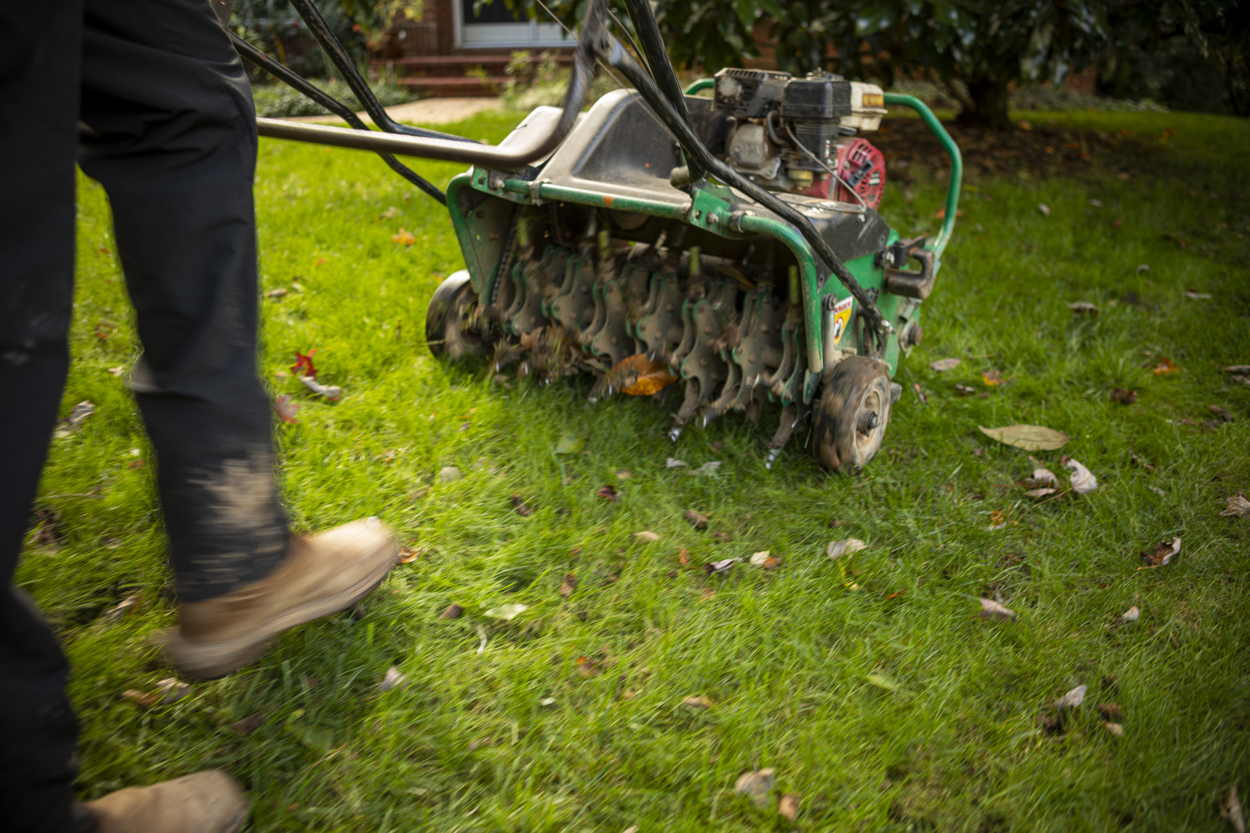 lawn care technician aerating a northern virginia lawn