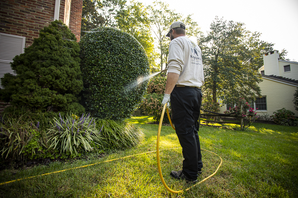 Kingstowne team technician plant health care spraying